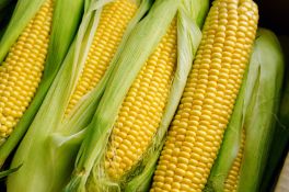 AdobeStock 531149154