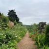 Kelmarsh photos
