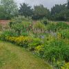 Kelmarsh photos