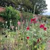 Kelmarsh photos