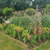 Kelmarsh photos